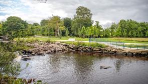 Swan Park Christmas market proposal to be brought before council