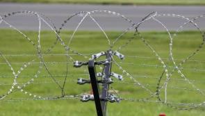 Three electric fence batteries stolen in Inishowen