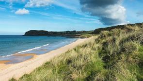 Lorry causes damage to a series of cars at Culdaff before leaving the scene