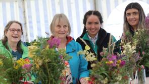 In Pictures: Something for all the family at the 2023 Inishowen Agricultural Show
