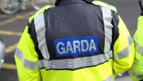 National: Two men arrested by gardai investigating human trafficking and labour exploitation