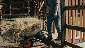 National: 'Rural Ireland doesn't matter' - Macra disappointed as long-standing issues not addressed in Budget 