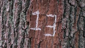 POLL:  Friday the 13th - do you believe it's an unlucky day?