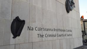 National: Woman admits 'laundering' more than €100,000 in crime cash at her home