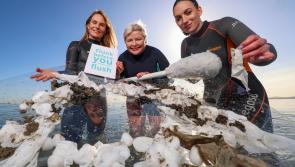 National: Increase of Irish adults using the toilet as a bin