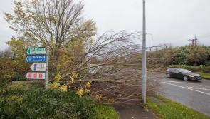 National - IN PICTURES: Storm Debi causes havoc and damage across Ireland
