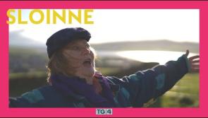 National: WATCH: Are you an Ó Suilleabháin or Ó Domhnaill? New series to trace origin of Irish surnames 