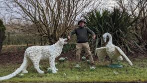 Outdoor art exhibition celebrating spring returns to Buncrana’s Swan Park 