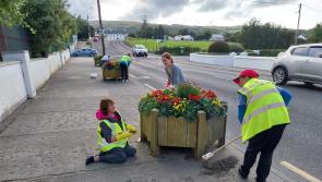Carndonagh Tidy Town group seeks more volunteers and new ideas