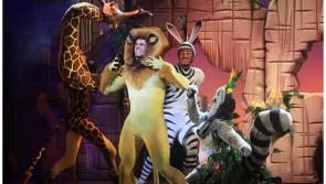 National: Madagascar The Musical is coming to the Gaiety 