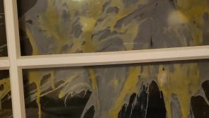 Properties egged in spate of late-night incidents 
