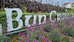 Community groups eligible to apply for small grant funding 
