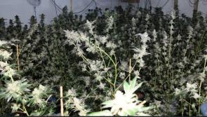 Donegal gardai have seized over €1million in drugs so far this year
