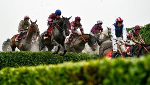 Cross-Country chase abandoned at Cheltenham after deluge of rain on track
