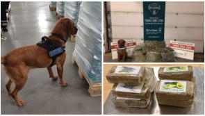 National: Revenue seize illicit drugs worth €275k in parcels sent from Spain  and Portugal