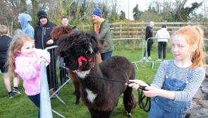  In pictures: Easter Trail at Carndonagh's Barrack Hill Town Park