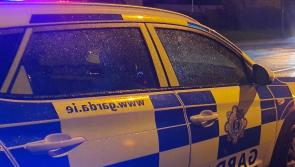 National: Garda&iacute; make shocking discovery after stopping erratic driver 