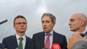 Taoiseach confirms EU patent referendum is unlikely to go ahead in June