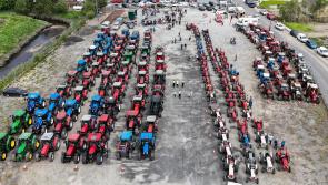 In pictures: Huge crowds for Allen Wylie Tractor Run