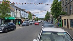 Dog-fouling and food-related litter see Buncrana slip in litter rankings