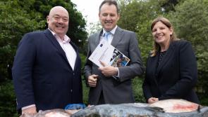 McConalogue announces schemes to support Irish fishing fleet and seafood processors