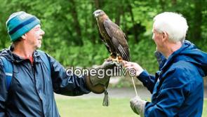 In pictures: Mid-summer celebration of nature in Buncrana’s Swan Park
