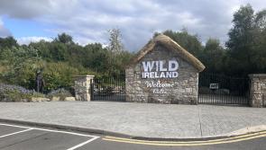 Call for Government action on tourism after ‘disappointing’ summer