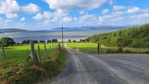 Retention permission for Inch development overturned by An Bord Pleanála