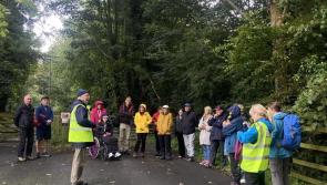 Wander for wellness walk on Muff greenway was a huge success
