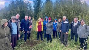 Environmentalist Éanna Ní Lamhna calls for ‘small actions to make change’