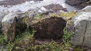 ‘Outrageous vandalism’ as stone is removed from Buncrana’s Castle Bridge 