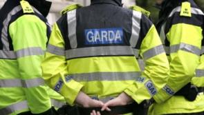 Gardaí on the hunt after van left covered in paint in Donegal