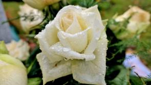 Death notices for Donegal on Saturday morning, November16