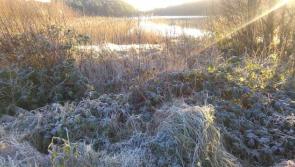  A milder day before sharp frost and icy stretches for Donegal tonight