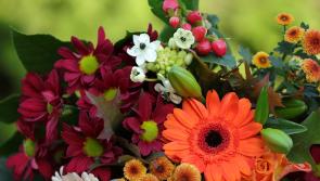 Death notices for Donegal on Friday morning, December 13
