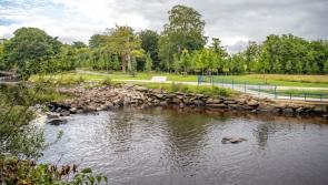 Buncrana improves in litter rankings with Swan Park highlighted as ‘a superb amenity’