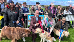 Almost €60,000 in funding announced for Donegal's Agricultural Shows in 2025
