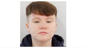 Search stood down for missing 13-year-old amid garda update