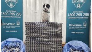Revenue detector dog smokes out almost €7m worth of illegal cigarettes at Irish port