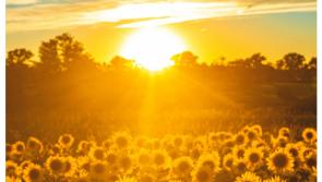 Met &Eacute;ireann confirms 24 degree heat for Ireland this week but things could take a turn