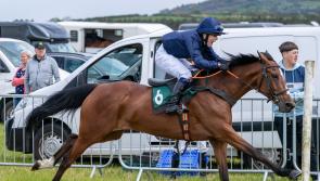 Donegal jockeys take to Carndonagh for return of racing