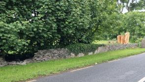 Car collision in Carrigans sparks urgent safety plea