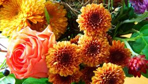 Death notices and funeral arrangements for Donegal on Thursday morning, July 24
