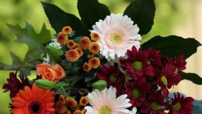 Death notices and funeral arrangements for Donegal on Friday morning, July 25
