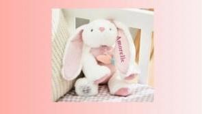 Safety alert issued as choking hazard is identified in cuddly children's toy  