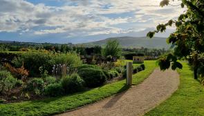 Planning sought for re-wetting of lands in Carndonagh