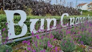 Buncrana Tidy Towns calls for boycott of rates until the roadsweeper is reinstated