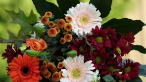 Death notices for Donegal on Friday morning, September 12