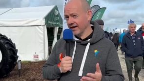 WATCH: 'You'll want your wellies' - Alan O'Reilly gives three-day weather forecast for the Ploughing