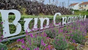 Beautiful Buncrana crowned Donegal&rsquo;s tidiest town again
